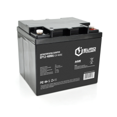 Аккумуляторная батарея EUROPOWER AGM EP12-40M6 12 V 40Ah (196 x 165 x 173),12.1 kg Black Q1/96